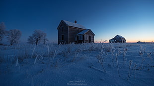 brown wooden house, nature