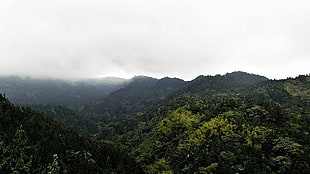 green mountains under white clouds HD wallpaper