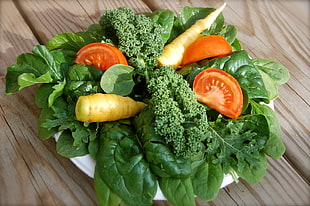 vegetable salad on white plate