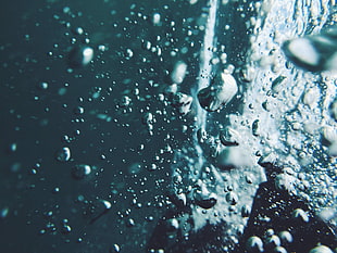 macro photography of water splash HD wallpaper
