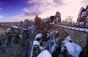 brown and white frozen rock formation during daytime