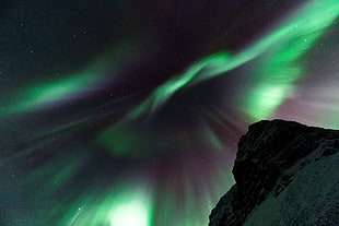 aurora borealis, dark, night, northern lights HD wallpaper