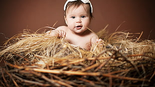 baby's white cup, children, nests, baby