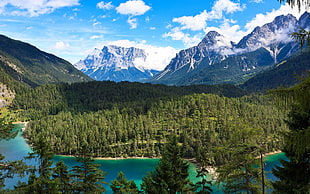 body of water near green forest