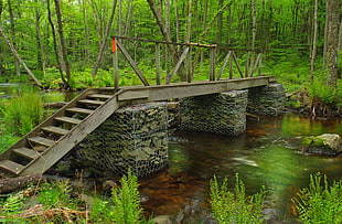 brown wooden bridge with steel-framed base surrounded with trees at daytime