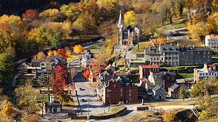 selective focus photography of village