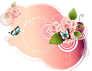 butterfly fly through the pink rose flower illustration HD wallpaper
