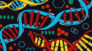 black, red, yellow, and blue textile, Orphan Black, DNA, digital art HD wallpaper