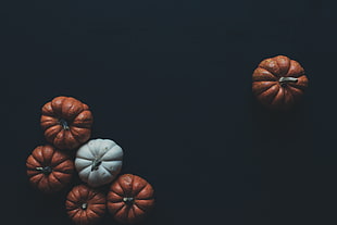 six round white and orange pumpkins