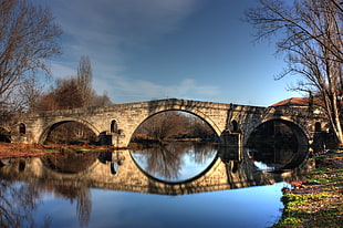 architectural photo of lake under the bridge during daytime HD wallpaper