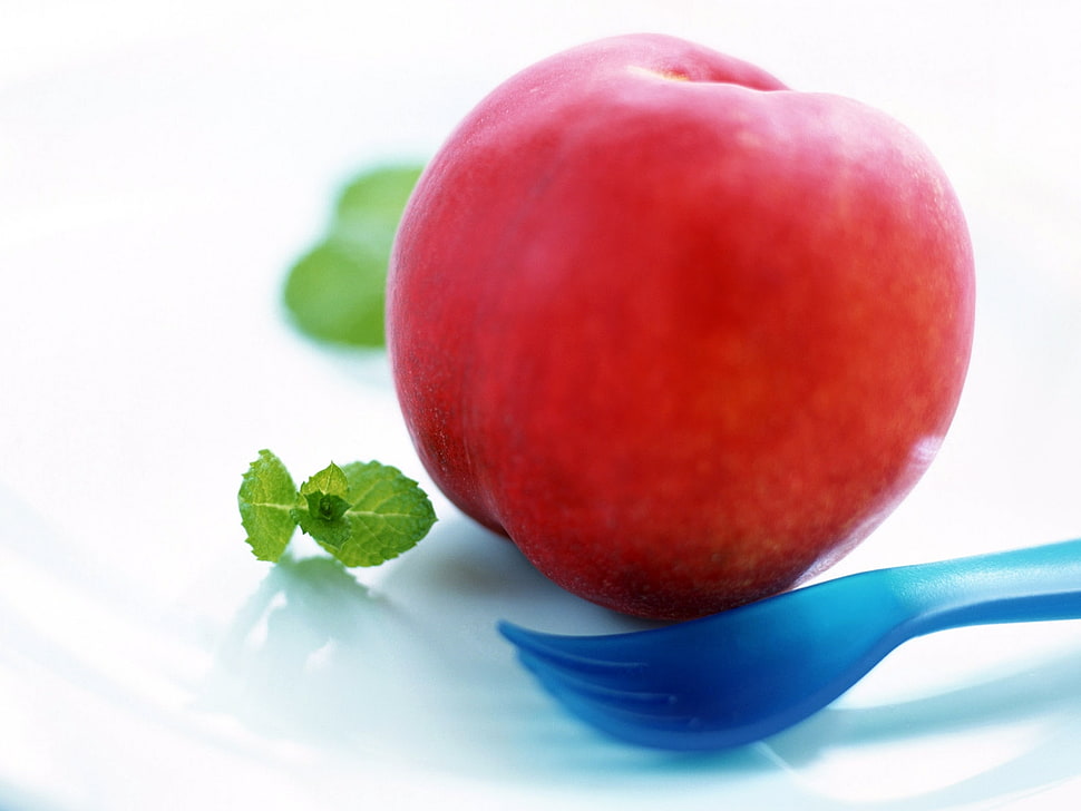 red Apple fruit HD wallpaper