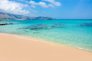 brown sand beach at daytime HD wallpaper