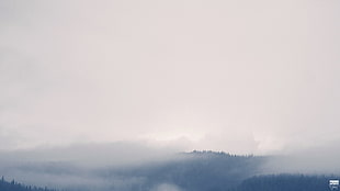 mountain and fog, noisy, mist, forest, clouds HD wallpaper