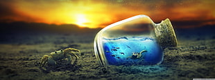 clear glass jar illustration HD wallpaper