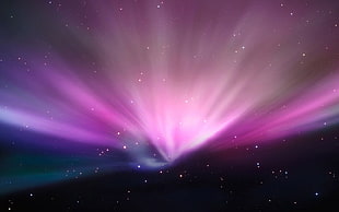pink, purple, and blue light with black background HD wallpaper