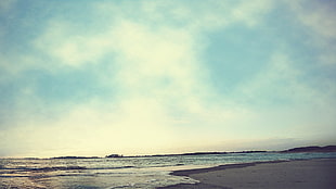 gray sand, nature, sea, beach HD wallpaper