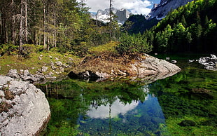 mossy river, landscape, nature