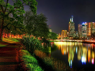 high rise buildings near body of water during night time