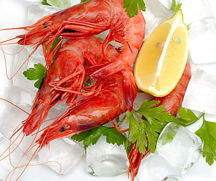 photo of cooked shrimp with sliced lime HD wallpaper