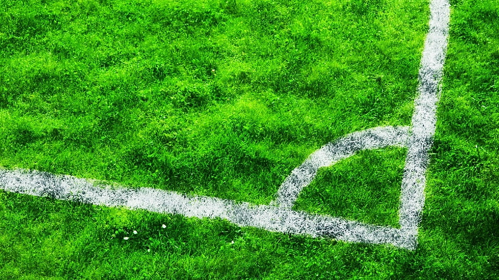 white lined green grass HD wallpaper