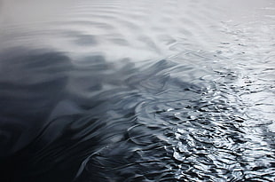 white and black floral textile, artwork, sea, water