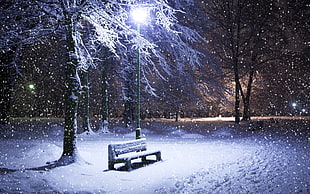 gray bench on snowfield near light post and tree during nighttime HD wallpaper
