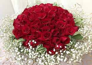 bouquet of red rose HD wallpaper