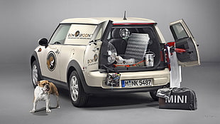 white Mini Cooper Clubman SUV, Mini Clubvan, car, dog, animals HD wallpaper
