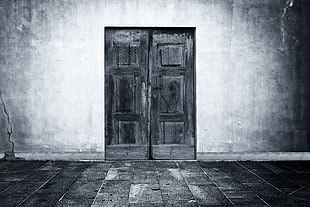 black wooden 6-panel door, door, monochrome HD wallpaper