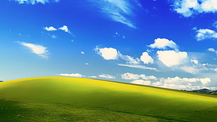 green grass field under the blue skies wallpaper, Microsoft Windows, MS-DOS, landscape HD wallpaper