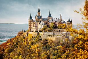 brown concrete castle, architecture, building, castle, clouds