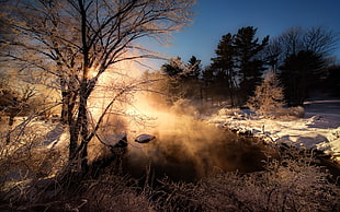 river, nature, mist, winter, landscape HD wallpaper