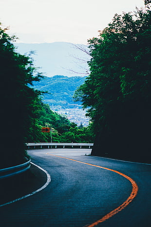 gray asphalt road, Turn, Road, Mountains HD wallpaper
