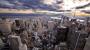 birds eye view of city during daytime