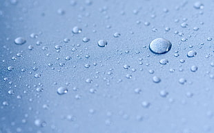 dew, water drops, depth of field, macro, blue HD wallpaper