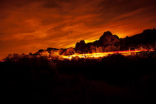 green leafed tree, Joshua Tree National Park, landscape, evening, sunset