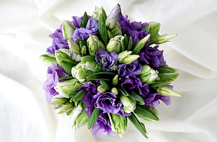 purple petaled flower bouquet