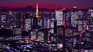 aerial view of city buildings during night time