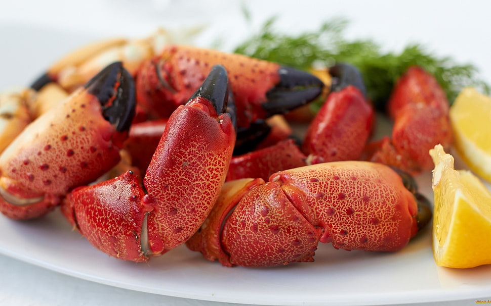 cooked crab, food HD wallpaper