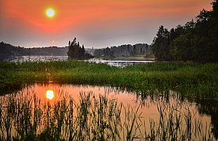 Sunset photography shot HD wallpaper