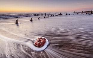 seashore, beach, waves, sea, landscape