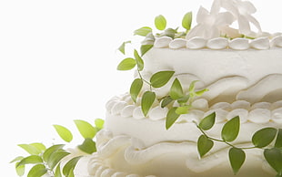 green vine plant on white cake