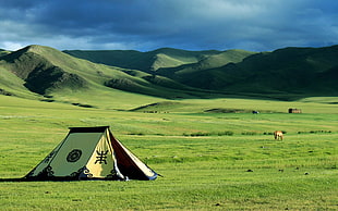 yellow and black dome tent, nature, landscape, Mongolia, tent HD wallpaper