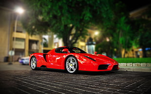 red coupe, Enzo Ferrari, red cars, Ferrari, lights HD wallpaper