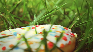 Donut on green grass HD wallpaper