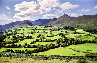 Rice Field and mountains during daytime, pike, pike, keswick