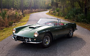 classic green convertible car parked on road near trees