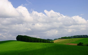landscape photography of green field under cloudy sky HD wallpaper