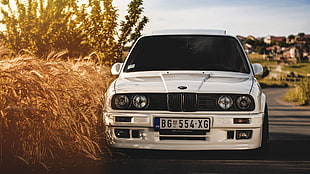 white BMW sedan near rice field HD wallpaper