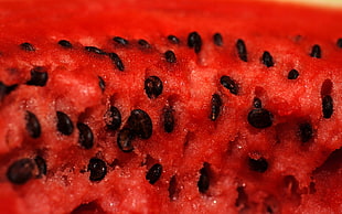 red watermelon fruit HD wallpaper